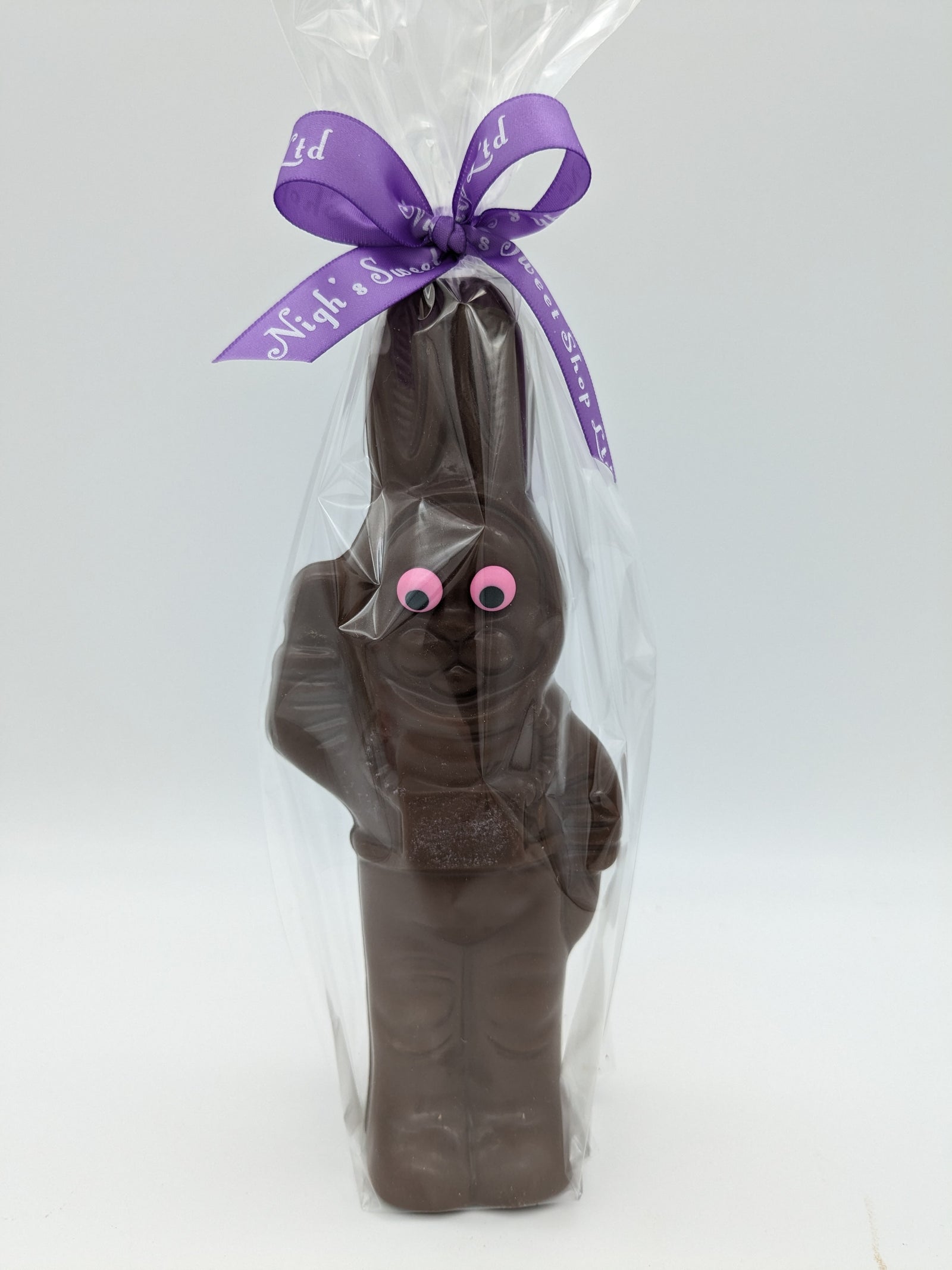 Astronaut Bunny