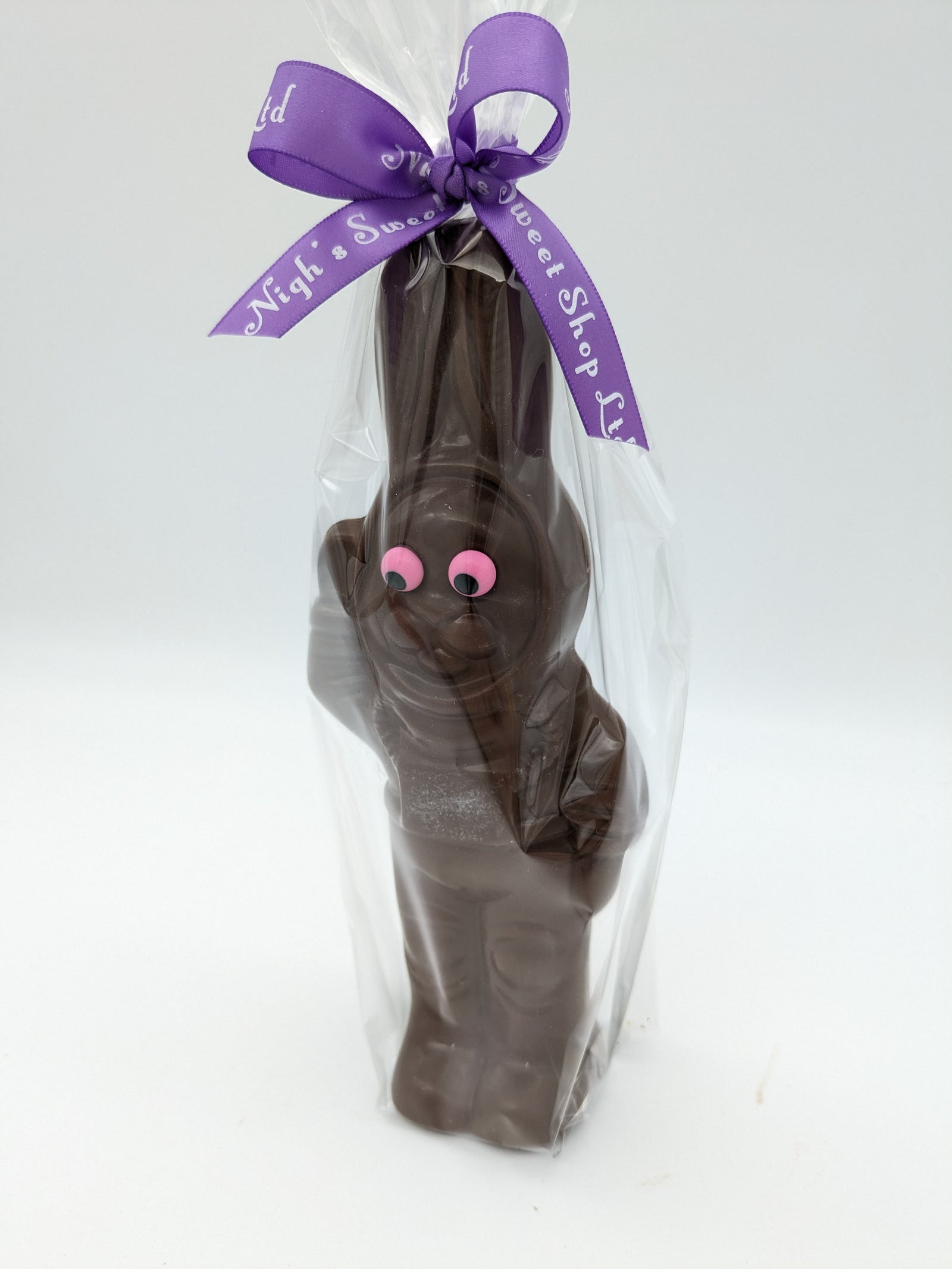 Astronaut Bunny