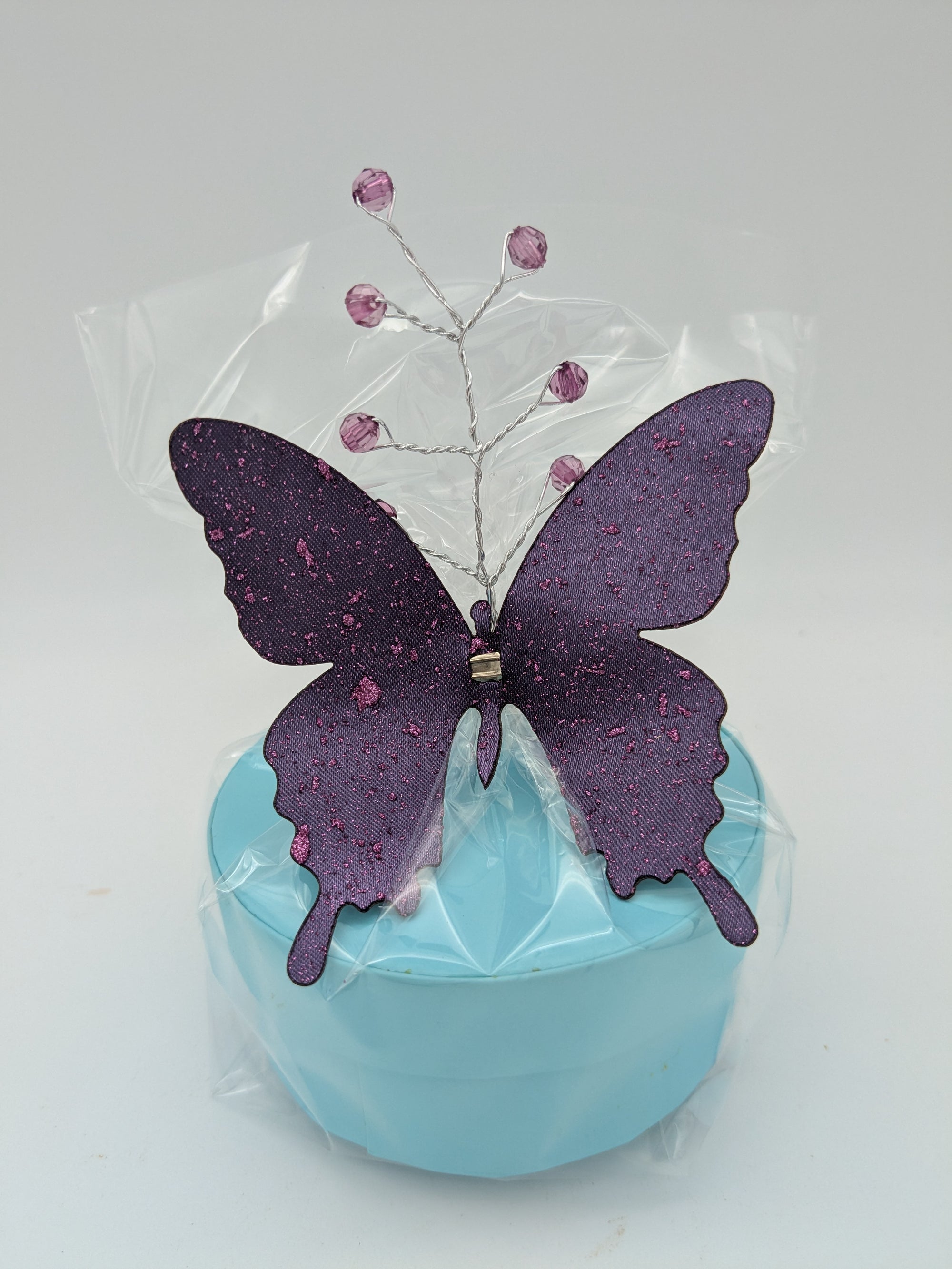 Butterfly Garden Gift