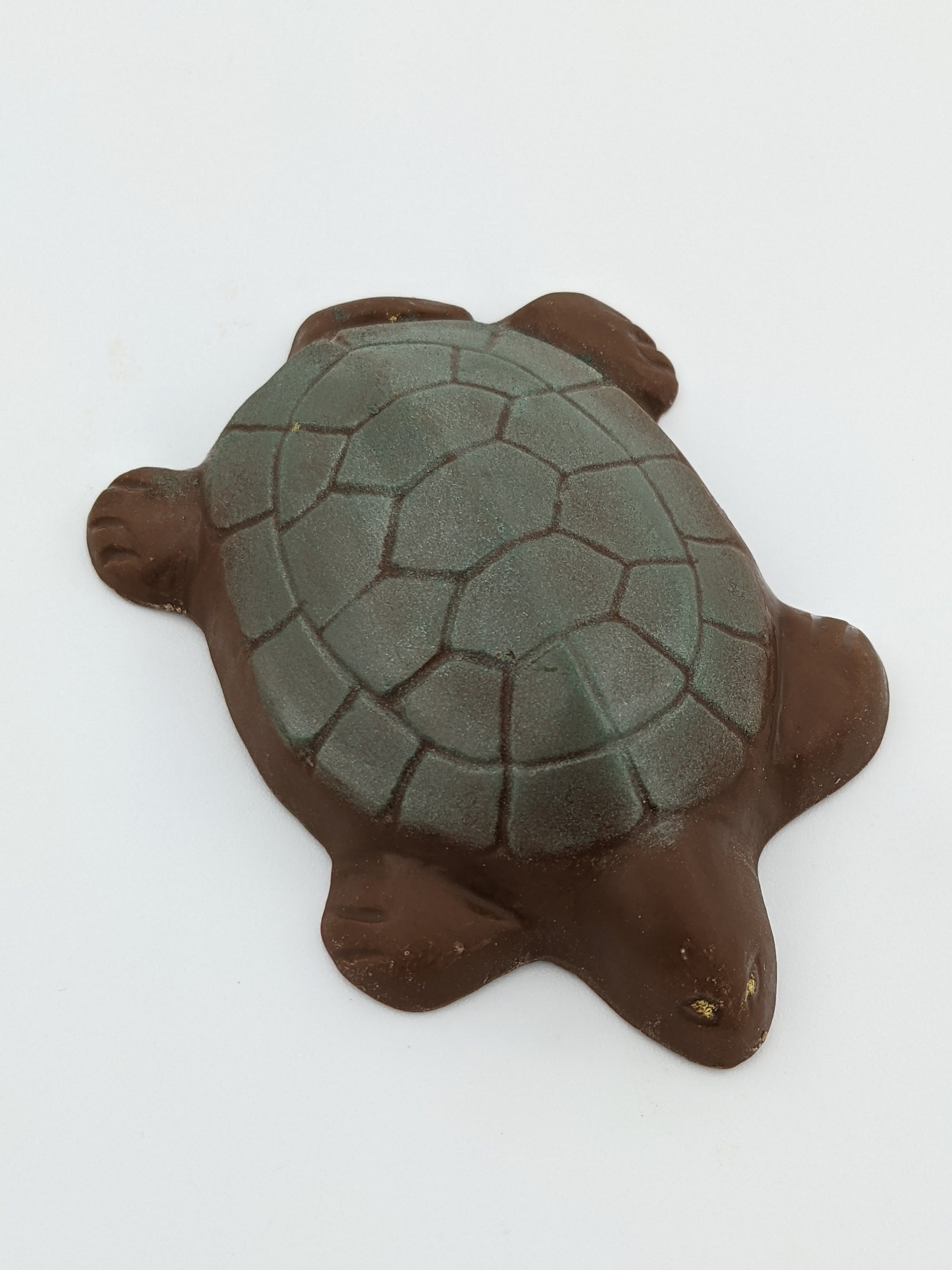 Painted Turtle