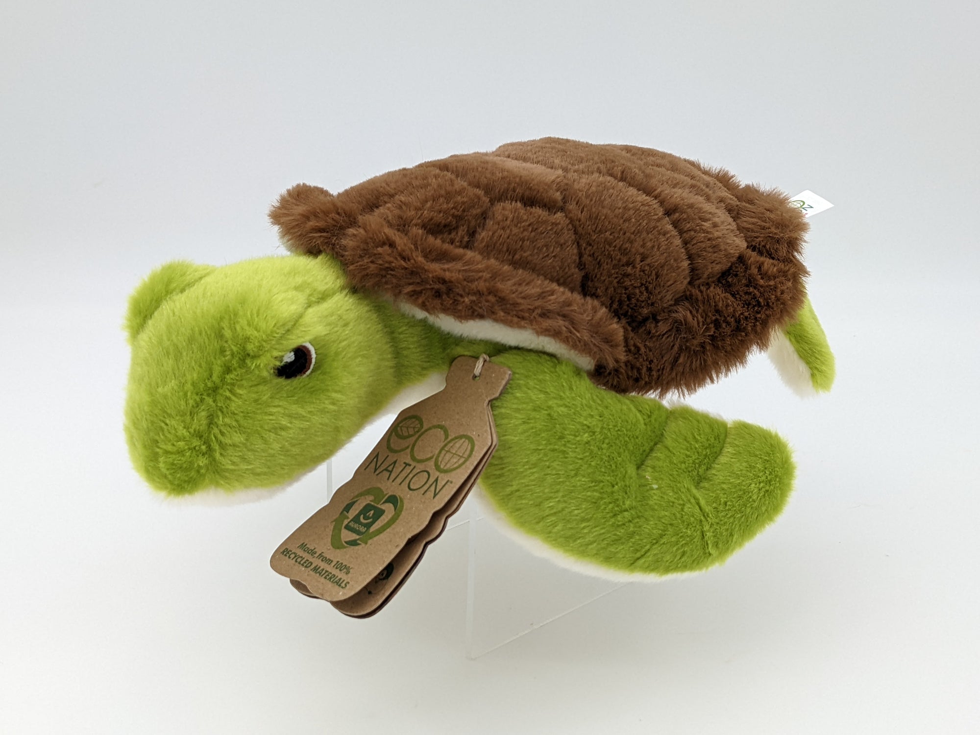 Sea Turtle