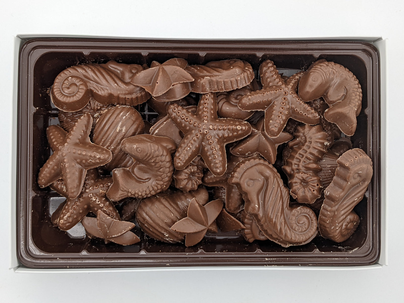 200g Seashells