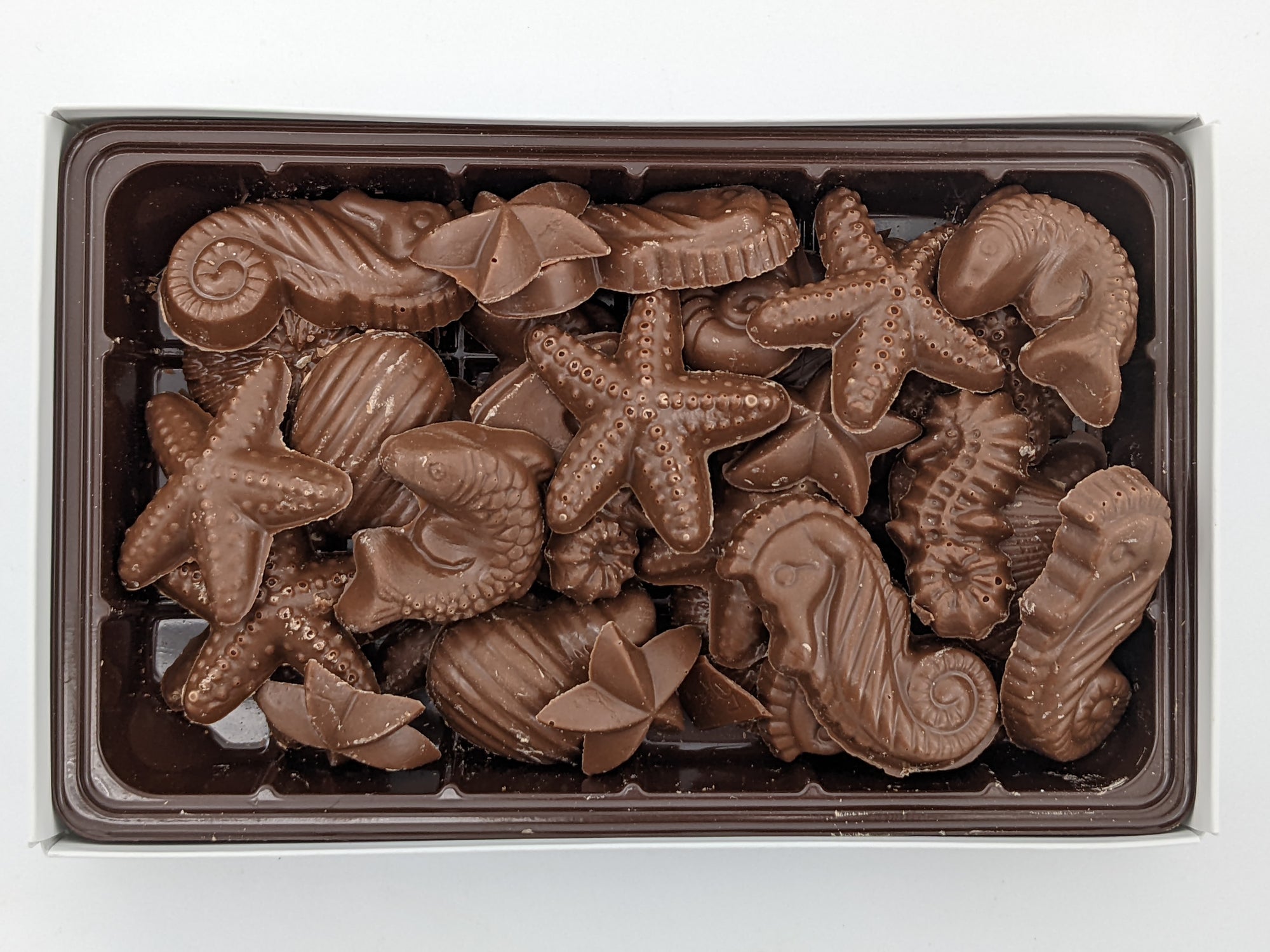200g Seashells