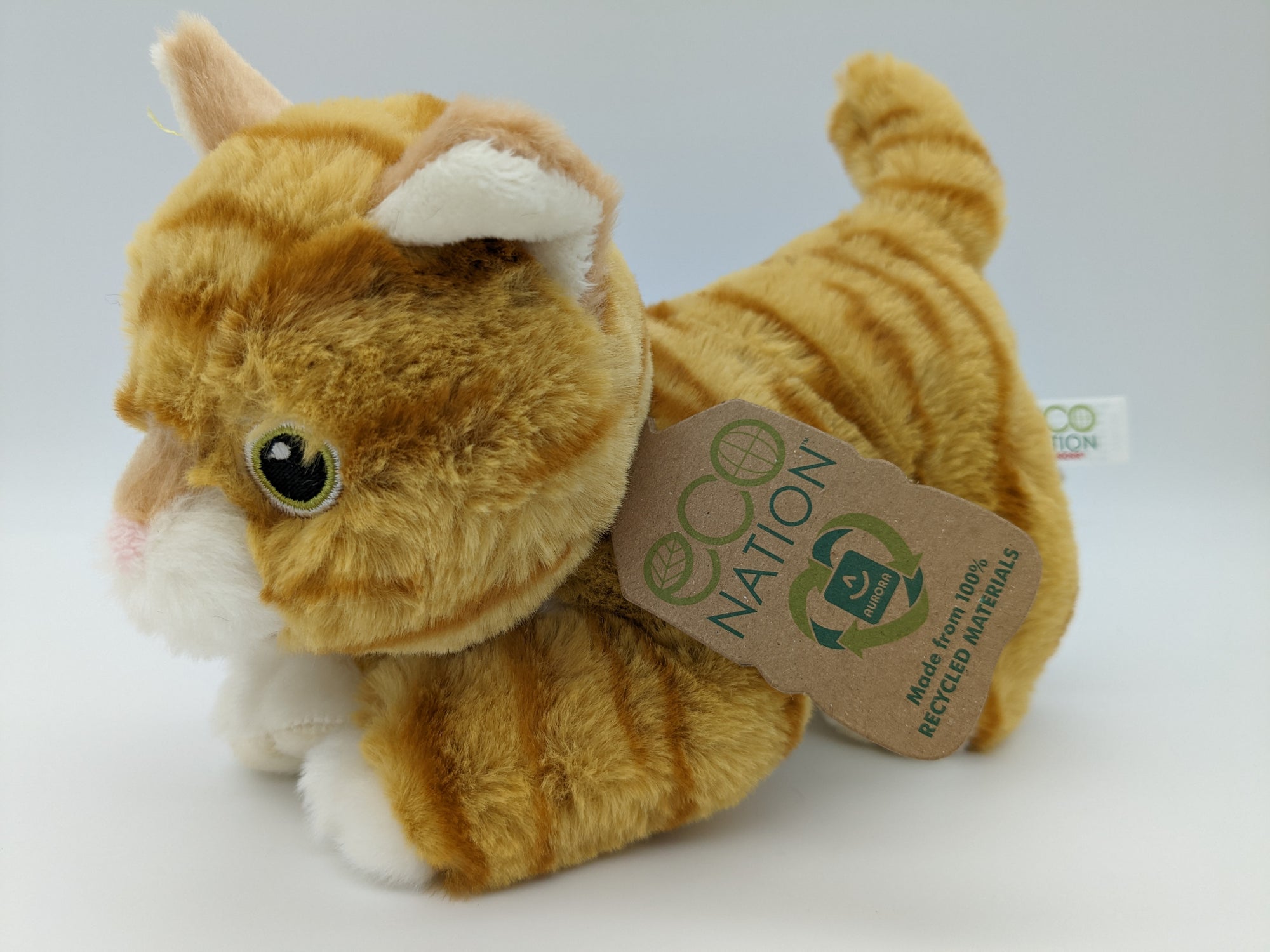 Orange Tabby