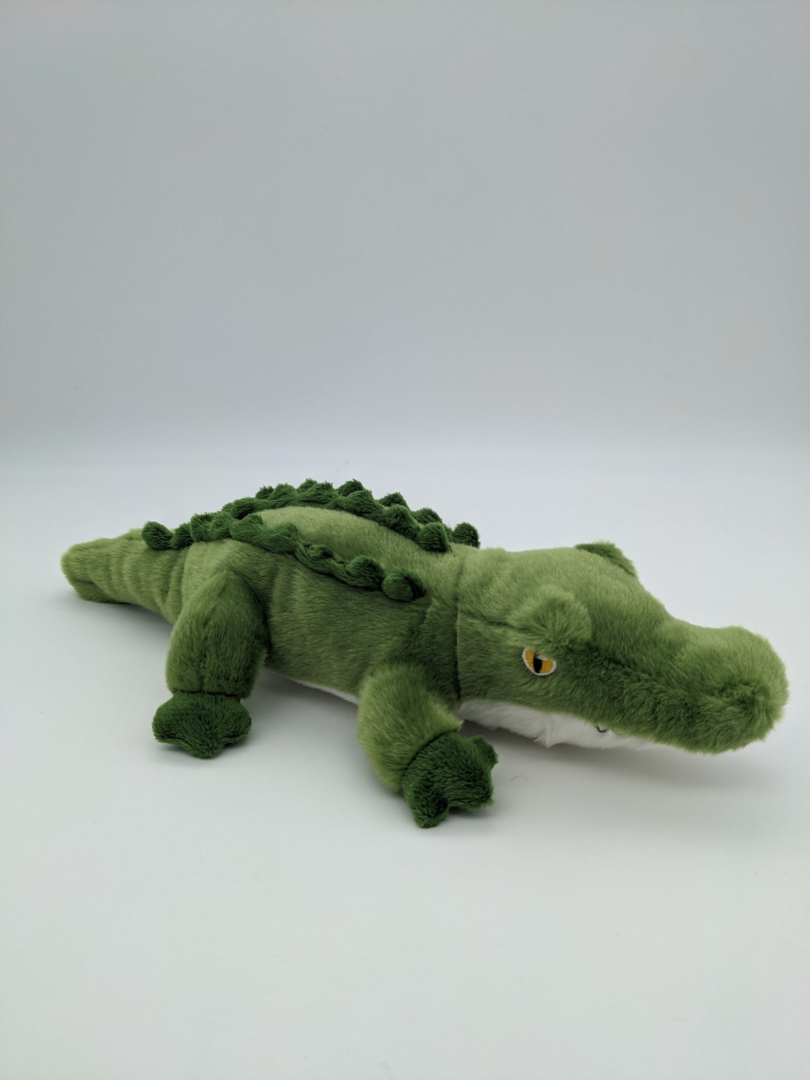 Alligator