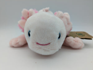 Axolotl