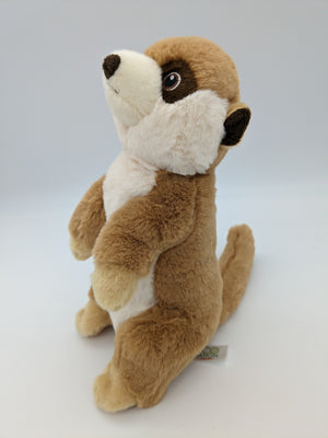 Meerkat